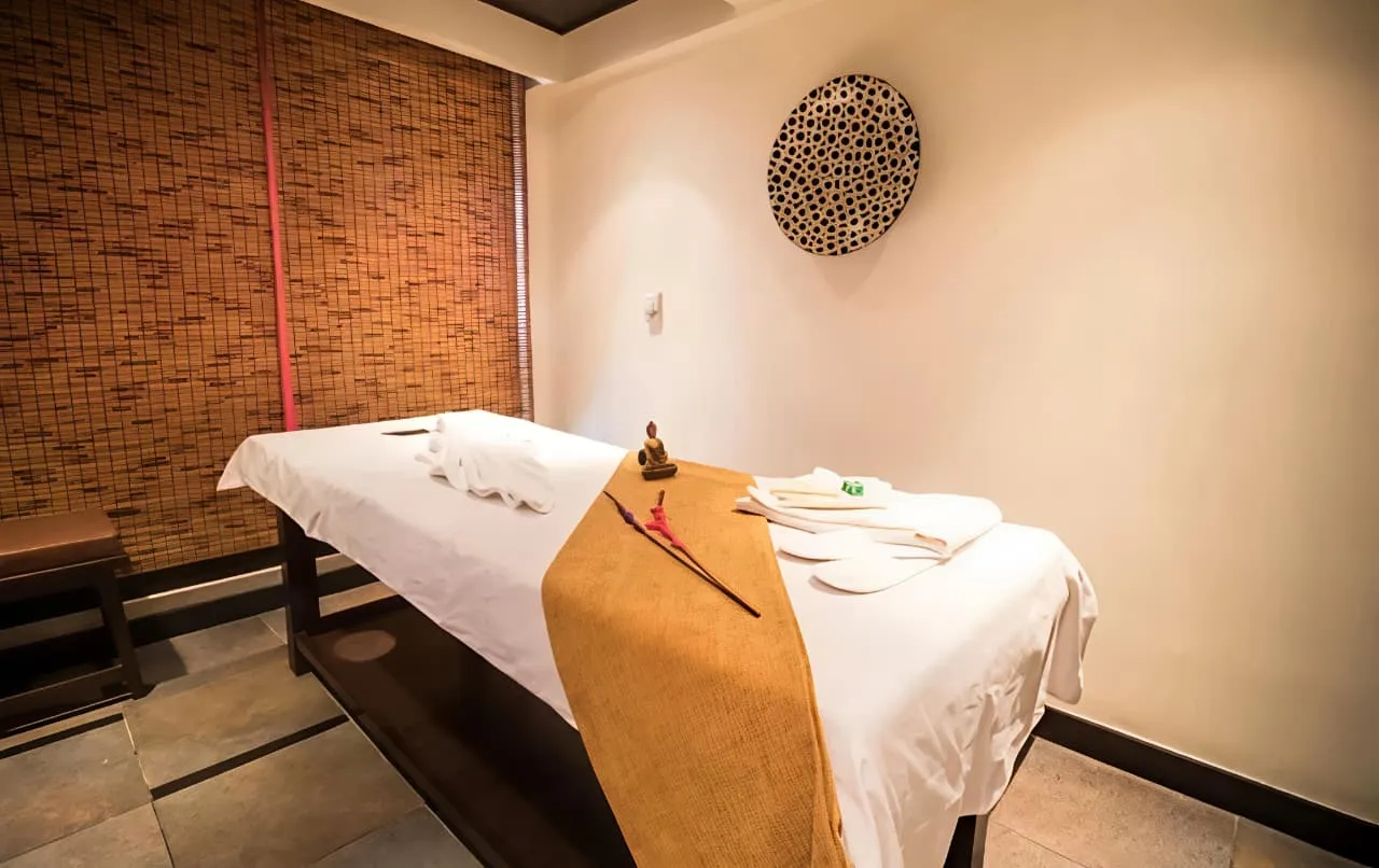 Meghavi Wellness Spa | The Fern