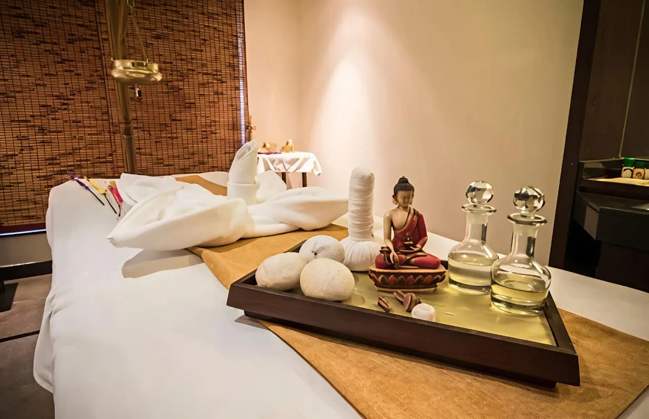 Meghavi Wellness Spa | The Fern