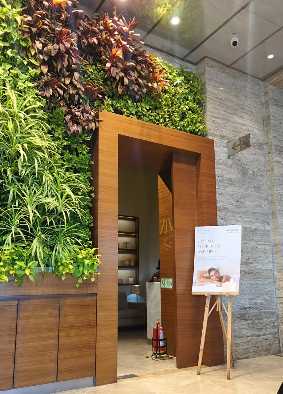 Find best offer near you and book spa services online at Zivaya Spa