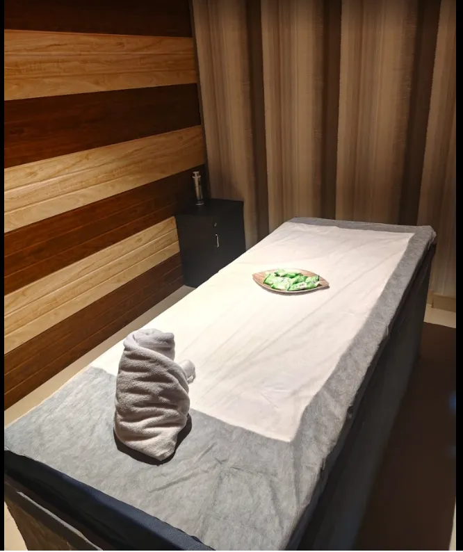 Ayurveda NX
