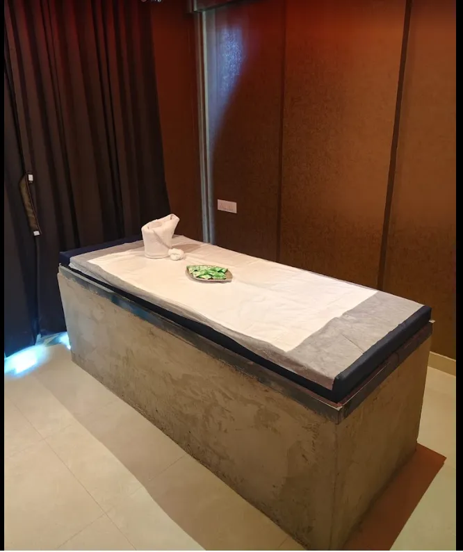 Ayurveda NX